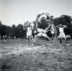 Magyarország,Szentendrei-sziget, Tahitótfalu, a Budapesten működő német birodalmi iskola sportrendezvénye a Pokol csárda melletti sportpályán., 1939, Sattler Katalin, Rhönrad, ördögkerék, Fortepan #146351