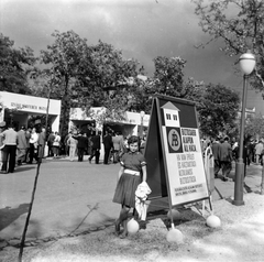 Hungary, Budapest XIV., Városligeti körút, háttérben a fák mögött a Hermina (Május 1.) út épületei., 1962, Sattler Katalin, Budapest, Fortepan #146358