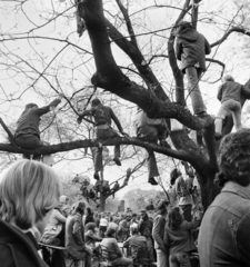 Magyarország, Tabán, Budapest I., koncert nézőközönsége, háttérben a Bethlen-udvar. A kép forrását kérjük így adja meg: Fortepan/Hegyi Zsolt, Balla Demeter felvétele., 1975, Balla Demeter / Hegyi Zsolt jogörökös adománya, Budapest, koncert, leselkedő, Fortepan #148118