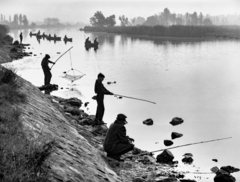 Magyarország, Budapest XXIII., Ráckevei (Soroksári)-Duna. A kép forrását kérjük így adja meg: Fortepan/Hegyi Zsolt, Balla Demeter felvétele., 1958, Balla Demeter / Hegyi Zsolt jogörökös adománya, horgászat, csónak, halászat, folyópart, Budapest, Fortepan #148124