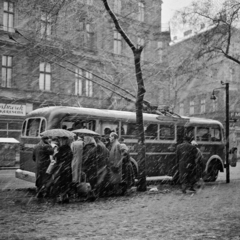 Magyarország, Budapest VII., Rottenbiller utca, szemben a Munkás utca torkolata. A kép forrását kérjük így adja meg: Fortepan/Hegyi Zsolt, Balla Demeter felvétele., 1955, Balla Demeter / Hegyi Zsolt jogörökös adománya, trolibusz, Budapest, képarány: négyzetes, esernyő, eső, Fortepan #148141