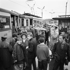 Magyarország, Budapest X., Liget (Zalka Máté) tér, háttérben a töltésen Kőbánya alsó vasútállomás peronja. A kép forrását kérjük így adja meg: Fortepan/Hegyi Zsolt, Balla Demeter felvétele., 1960, Balla Demeter / Hegyi Zsolt jogörökös adománya, villamos, Budapest, Fortepan #148156