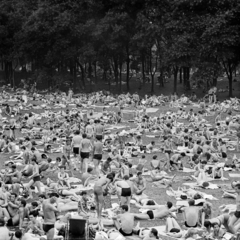 Magyarország, Margitsziget, Budapest, Palatinus Strandfürdő. A kép forrását kérjük így adja meg: Fortepan/Hegyi Zsolt, Balla Demeter felvétele., 1968, Balla Demeter / Hegyi Zsolt jogörökös adománya, tömeg, napozás, Fortepan #148171