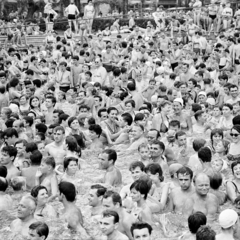 Magyarország, Margitsziget, Budapest, Palatinus Strandfürdő. A kép forrását kérjük így adja meg: Fortepan/Hegyi Zsolt, Balla Demeter felvétele., 1968, Balla Demeter / Hegyi Zsolt jogörökös adománya, tömeg, medence, Fortepan #148172