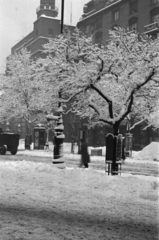 Magyarország, Budapest VII., Károly körút (Károly király út), szemben a Dob utca torkolata a Dohány utca felől nézve., 1943, Barbjerik Ferenc, Budapest, hó, ág, fa, Fortepan #148287