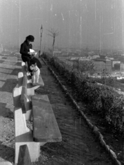 Magyarország, Gellérthegy, Budapest XI., jobbra lent a Fővám téren a Fővámpalota (később Corvinus Egyetem)., 1943, Barbjerik Ferenc, kutya, Budapest, kutyasétáltatás, árnyék, pad támláján ülni, Fortepan #148297