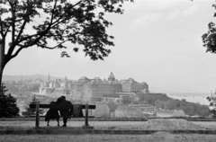 Hungary, Budapest I., kilátás a Királyi Palota (később Budavári Palota) felé., 1943, Barbjerik Ferenc, Budapest, bench, love, intimacy, Fortepan #148301