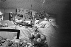 1958, Barbjerik Ferenc, fruit, book, bed, Füles magazine, newspaper, reading, odd one out, still life, Fortepan #148441