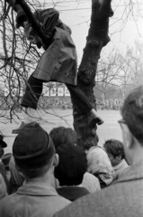 Magyarország, Budapest VII., a felvétel a Dózsa György út 82. előtt készült, április 4-i katonai díszszemle nézőközönsége., 1959, Barbjerik Ferenc, Budapest, Fortepan #148449