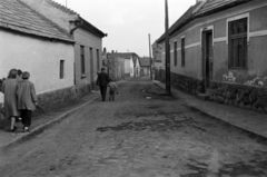 Magyarország, Szentendre, Bocskai utca (később a Dunakanyar körút, az új 11-es főút került kialakításra a helyén)., 1957, Barbjerik Ferenc, lakóház, utcakép, Fortepan #148477