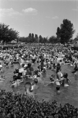 Hungary, Budapest XIII., Dagály (Szabadság) fürdő., 1958, Barbjerik Ferenc, Budapest, pool, mass, Fortepan #148510