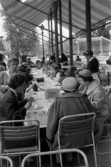 Magyarország, Margitsziget, Budapest, Casino., 1959, Barbjerik Ferenc, Fortepan #148554