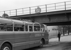 1962, Barbjerik Ferenc, bus, Ikarus-brand, MÁVAUT-organisation, Fortepan #148625