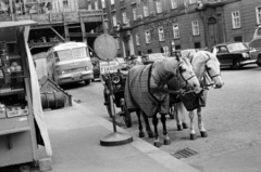 Austria, Vienna, Stephansplatz, fiákerállomás a felállványozott Stephansdom / Szent István-székesegyház., 1962, Barbjerik Ferenc, horsecloth, fiacre, Fortepan #148632