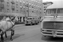 Hungary, Dunaújváros, Vasmű út az Ady Endre utca felől a József Attila utca felé nézve., 1962, Barbjerik Ferenc, bus, Ikarus-brand, number plate, Fortepan #148673