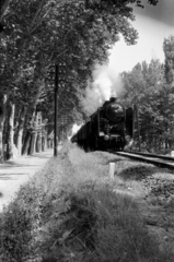 Hungary, a felvétel Balatonszárszó és Balatonföldvár között készült., 1962, Barbjerik Ferenc, steam locomotive, Hungarian brand, MÁVAG-brand, MÁV Class 424, Fortepan #148794