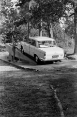 Hungary, Balatonföldvár, autómosás a kemping szerelőrámpáján., 1962, Barbjerik Ferenc, camping, Fortepan #148795