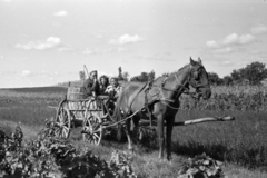 1957, Fortepan/Album027, chariot, Fortepan #148991