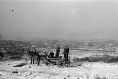 Magyarország, Sopron, kilátás a város felé a Citadella utca környékéről., 1958, Fortepan/Album027, lovaskocsi, hó, Fortepan #149031