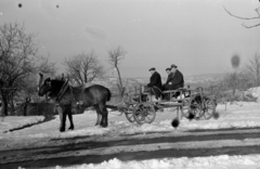 Magyarország, Sopron, kilátás a város felé a Citadella utca környékéről., 1958, Fortepan/Album027, lovaskocsi, Fortepan #149032