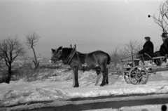 Magyarország, Sopron, kilátás a város felé a Citadella utca környékéről., 1958, Fortepan/Album027, lovaskocsi, Fortepan #149033