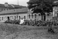 Magyarország, Budapest VIII., II. János Pál pápa (Köztársaság) tér, háttérben a Luther utca épületei és a szlovák templom tornya., 1953, Fortepan/Album027, Budapest, nyári ruha, masni, kislány, virágágyás, Fortepan #149238