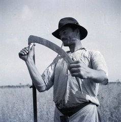 1942, Tóth Árpád, agriculture, harvest, scythe, Fortepan #149380