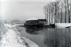 Magyarország, Győr, Révfalu, Morvay József hajómalma a Mosoni-Dunán., 1917, Tóth Árpád, tél, hó, folyópart, hajómalom, Fortepan #149424