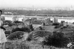 Magyarország, Budapest II., látkép a Rózsadombról a Margit-sziget felé nézve., 1943, Saly Noémi, Budapest, Fortepan #14985