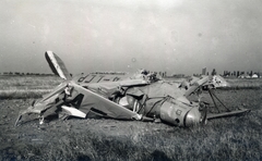 Magyarország, Pécs, a Horthy Miklós Nemzeti Repülő Alap kiképző keretének 1942. március 28.-án lezuhant Bücker Bü 131 "Jungmann" iskolarepülőgépe. A balesetben Gyurcsik Dezső és Hegedűs Sándor növendékek vesztették életüket., 1942, Varga Csaba dr., baleset, repülőgép, Fortepan #150696