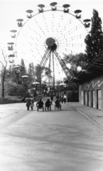 Magyarország, Városliget,Vidámpark, Budapest XIV., óriáskerék., 1985, Giltán Tivadar, Budapest, Fortepan #153457