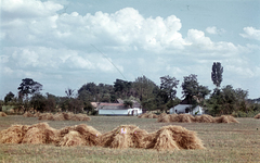 1943, Szekrényesy Réka, tanya, szalma, Fortepan #153945