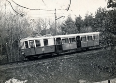 Magyarország, Budapest XII., Ganz gyártmányú, Rowan-rendszerű szerelvény a villamosított Fogaskerekű vonalán., 1929, Surányi Sándor - György József, Ganz-márka, fogaskerekű vasút, BSZKRT-szervezet, Budapest, Fortepan #154722