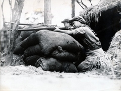 Kína, Sanghaj, cserkészek gyerekkatonaként a második kínai-japán háború sanghaji csatájában., 1937, Reklámélet folyóirat, gyerekek, gyerek, puska, homokzsák, gyerekmunka, Fortepan #156185