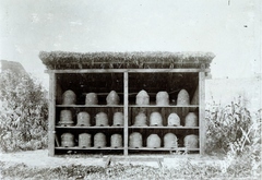 1913, Glatz Ödön, agriculture, thatch roof, apiary, Fortepan #156522