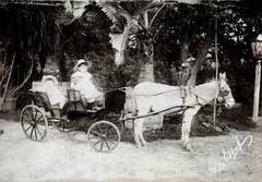 1913, Glatz Ödön, Horse-drawn carriage, donkey, Fortepan #156541