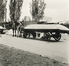 Magyarország, Budapest IV., a Szent Imre utca 20. számú ház építkezése., 1937, Lencsés László, Budapest, Fortepan #156758