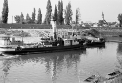 Hungary, Baja, Sugovica (Kamarás-Duna) a Petőfi-szigetről nézve, szemben a Szent Miklós görögkeleti templom. Előtérben a Tolna gőzhajó., 1968, Márton Gábor, ship, steamboat, Tolna/Rákos/S. T. 9. ship, Fortepan #15684