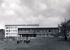 Magyarország, Budapest II., Csatárka úti gyermekváros (később Cseppkő Gyermekotthoni Központ)., 1962, Preisich család, Budapest, park, épület, modern építészet, Preisich Gábor-terv, Fortepan #158040