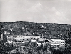 Magyarország, Budapest II., Csatárka úti gyermekváros (később Cseppkő Gyermekotthoni Központ)., 1962, Preisich család, Budapest, látkép, tájkép, Preisich Gábor-terv, Fortepan #158044