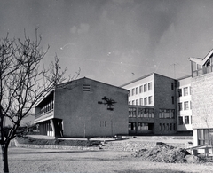 Magyarország, Budapest II., Csatárka úti gyermekváros (később Cseppkő Gyermekotthoni Központ)., 1962, Preisich család, Budapest, modern építészet, Preisich Gábor-terv, Fortepan #158047