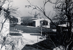 Magyarország, Budapest II., Csatárka úti gyermekváros (később Cseppkő Gyermekotthoni Központ)., 1962, Preisich család, Budapest, modern építészet, Preisich Gábor-terv, Fortepan #158049