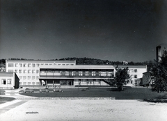 Magyarország, Budapest II., Csatárka úti gyermekváros (később Cseppkő Gyermekotthoni Központ)., 1961, Preisich család, Budapest, park, épület, Preisich Gábor-terv, Fortepan #158092