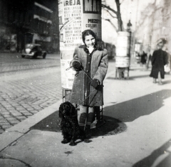 1949, Ráday Mihály, lady, dog, winter coat, ad pillar, leash, poodle, Fortepan #158860