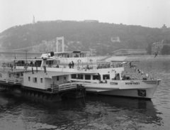 Magyarország, Budapest V.,Budapest I., a Hunyadi motoros kirándulóhajó a Vigadó téri hajókikötőnél, háttérben az Erzsébet híd és a Gellért-hegy látható., 1972, Urbán Tamás, hajó, híd, Hunyadi hajó, Budapest, függőhíd, Sávoly Pál-terv, Fortepan #15899