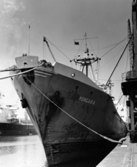 Croatia,Adriatic Sea, Rijeka, kikötő, a Hungária tengeri áruszállító hajó., 1969, Ungvári György, ship, port, mooring bollard, Hungaria-ship, Fortepan #159091