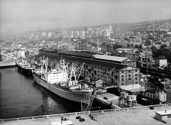 Croatia,Adriatic Sea, Rijeka, kikötő., 1969, Ungvári György, Fortepan #159101