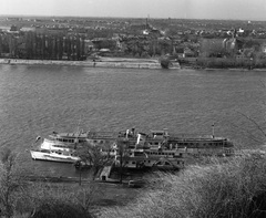 Magyarország, Esztergom, hajókikötő, előtérben a Deák Ferenc lapátkerekes gőzös mint szállodahajó. A Duna túlsó partján Párkány., 1972, Urbán Tamás, hajó, gőzhajó, Duna, lapátkerekes hajó, Dunagyöngye/Deák Ferencz hajó, Fortepan #15931