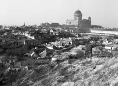 Magyarország, Esztergom, a Várhegy és a Bazilika a Kuckländer-dombról nézve., 1972, Urbán Tamás, Bazilika, Fortepan #15934