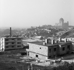 Magyarország, Esztergom, látkép a Bazilikával., 1972, Urbán Tamás, építkezés, létra, Bazilika, Fortepan #15935